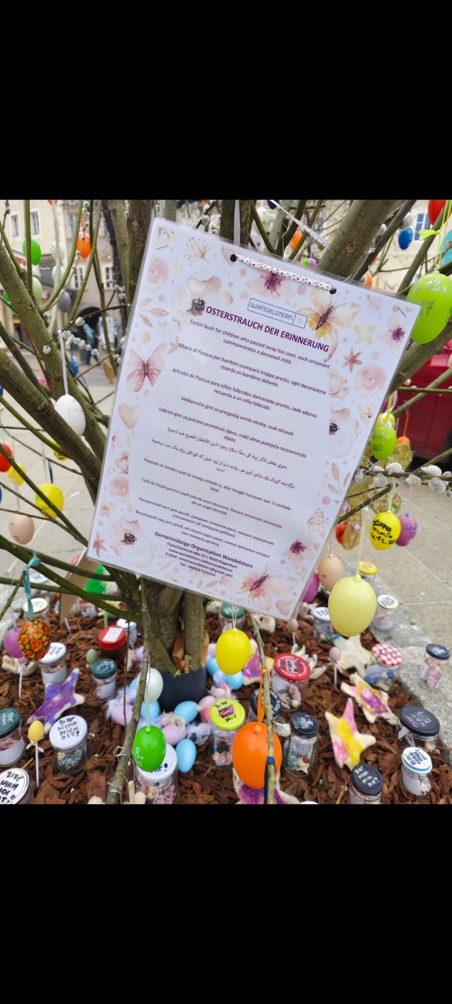 Sterne schauen Projekt Ort 3 - Wandelstern